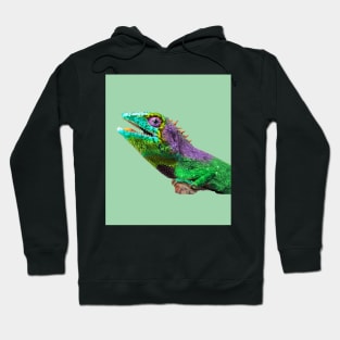 iguana art Hoodie